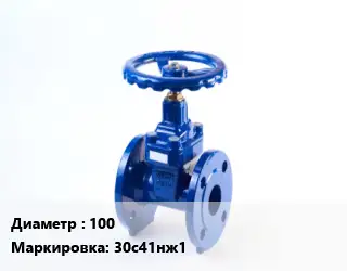 Задвижка стальная 100 30с41нж1
